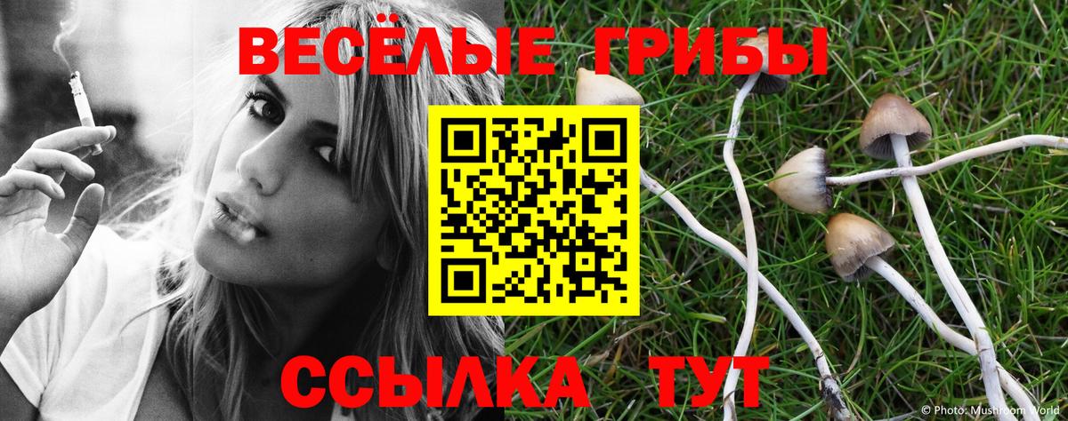 Псилоцибиновые грибы ЛСД  Вход с VPN  Липецк 